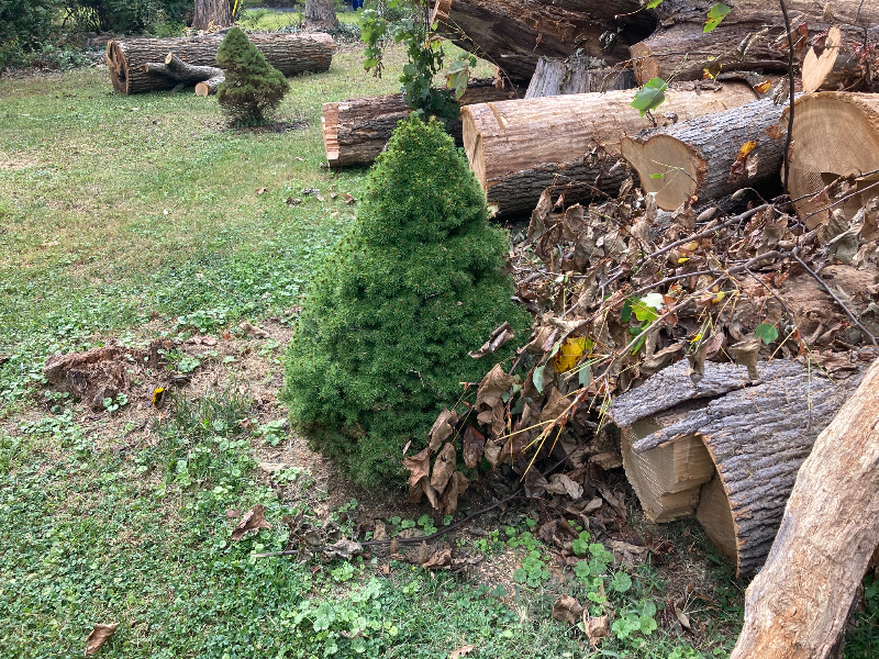 Valley Forge House: 1674 High Point Lane