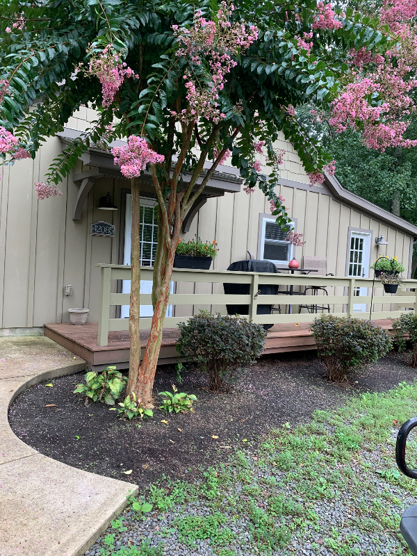 Leesburg Other: 42083 Sweet Spring Lane