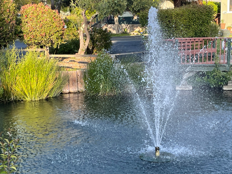 Scotts Vallt Other: 444 Whispering pines