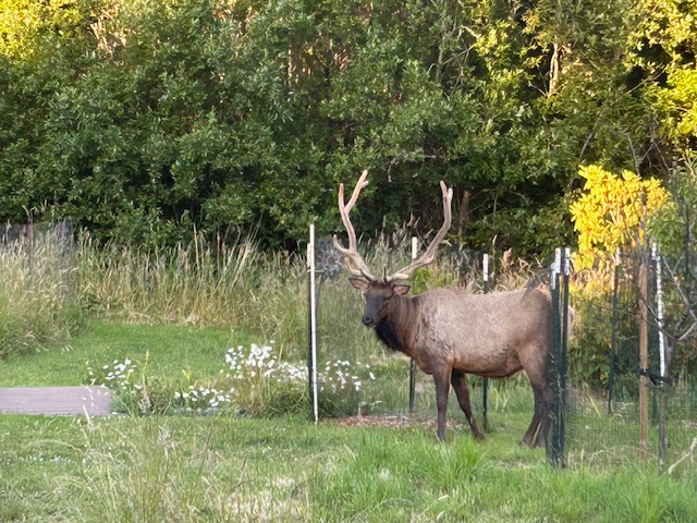 Fieldbrook House: 4595 Fieldbrook Rd