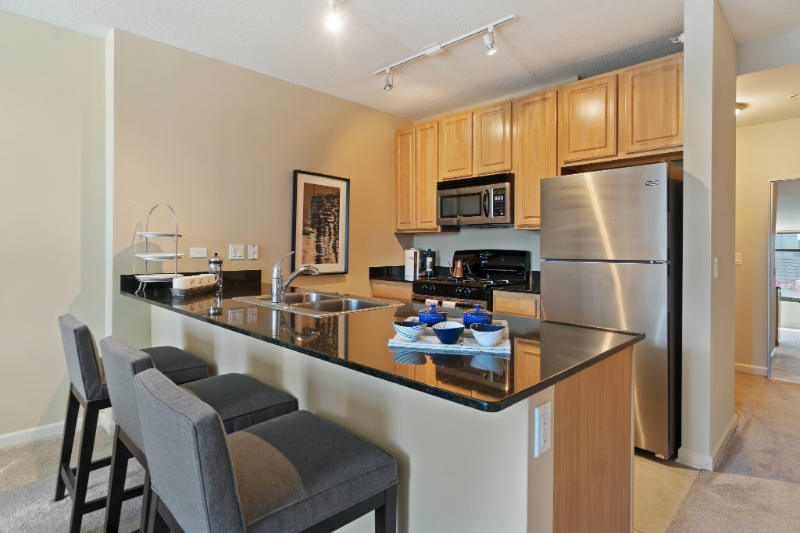 Chicago Condo: 349 N Desplaines St