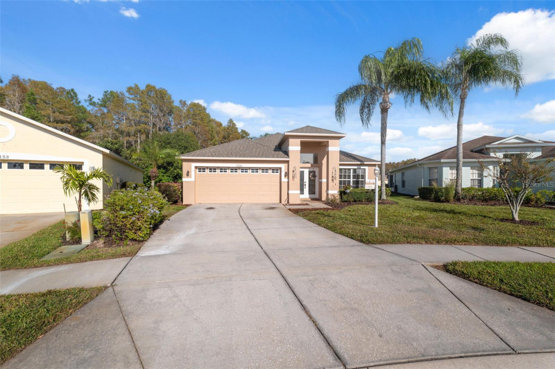 New Port Richey House: 1201 DUSTAN PL