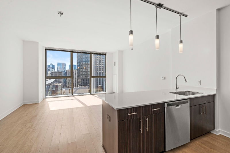 Chicago Condo: 251 N Garland Ct