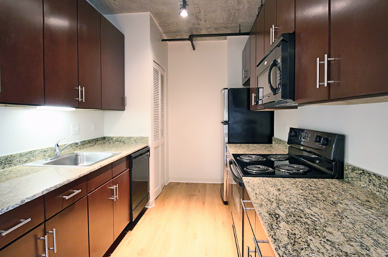Chicago Condo: 850 S Clark St
