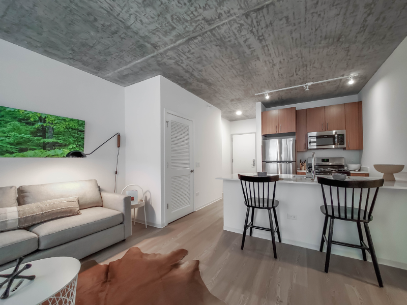 Chicago Condo: 1378 S Wabash Ave