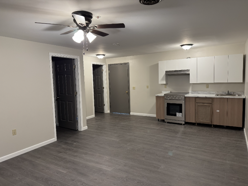 Albion Apartment: 355 South Main Street