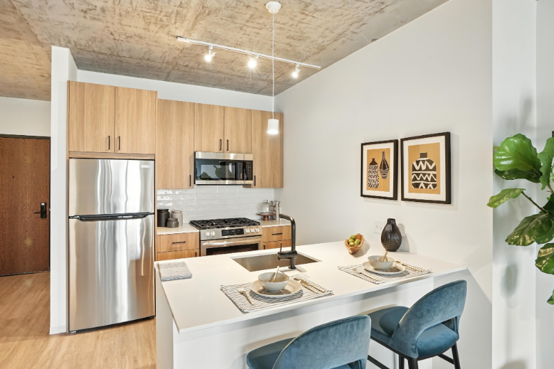 Chicago Condo: 1715 S. Michigan Ave