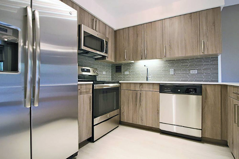 Chicago Condo: 907 South Ashland Ave