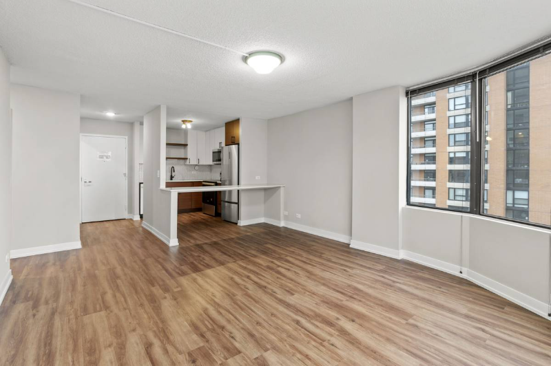 Chicago Condo: 1228 S Michigan Ave