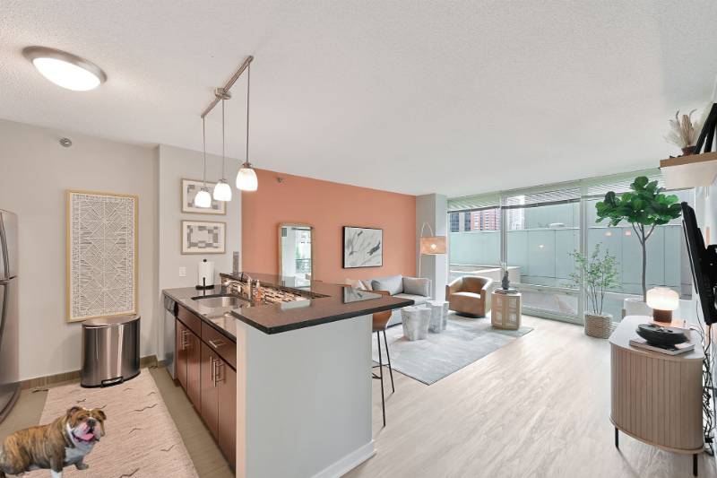 Chicago Condo: 331 E Ohio St