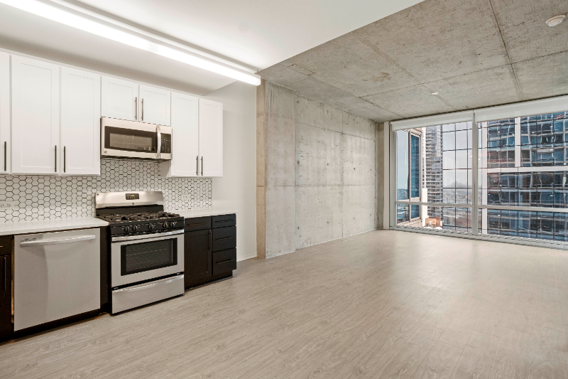 Chicago Condo: 1425 South State Street