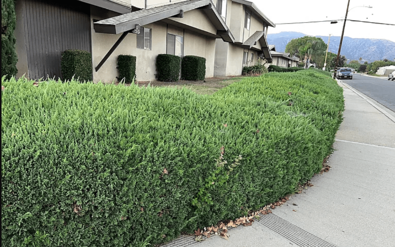 La Vern Multiplex: 2411 Pattiglen Ave