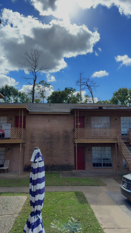 Houston Apartment: 3909 Sherwood Ln