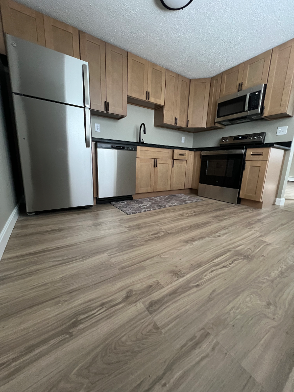 Lowell Condo: 175 Willard St