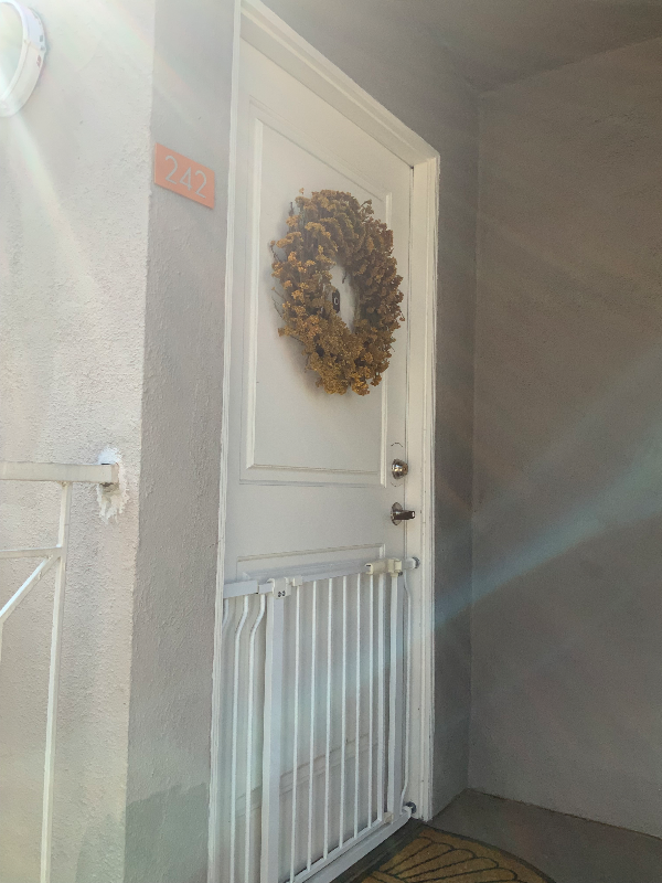 Burbank Condo: 355 N Maple St