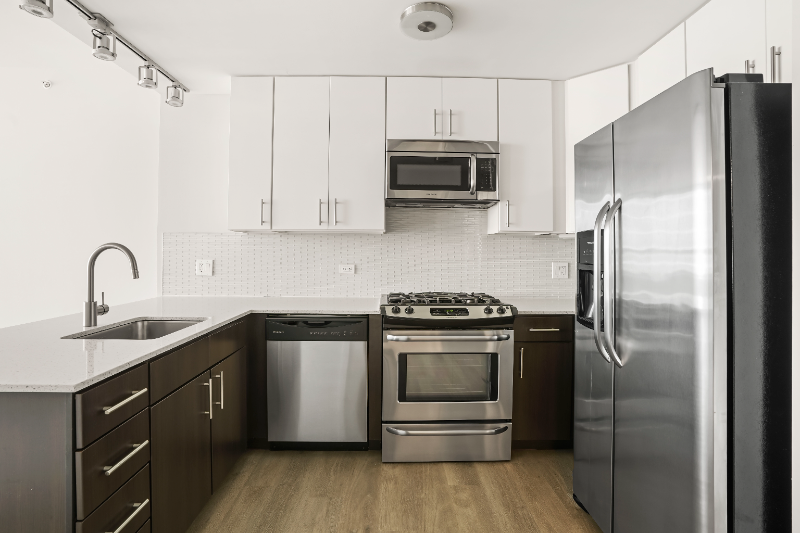 Chicago Condo: 717 W Adams St