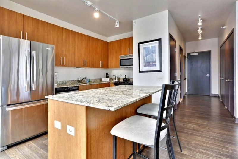 Chicago Condo: 553 N State St