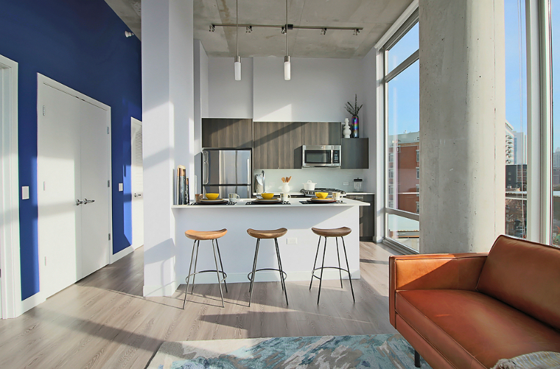 Chicago Condo: 720 N Morgan St