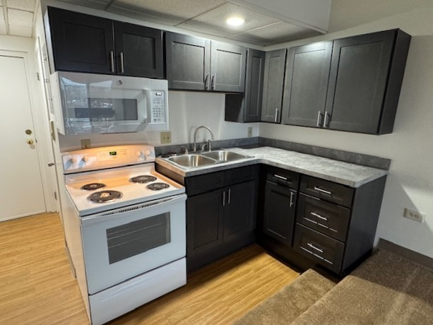 Kenmore Apartment: 2668 Elmwood Ave