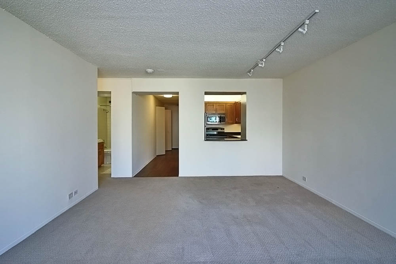 Chicago Condo: 240 east wacker dr