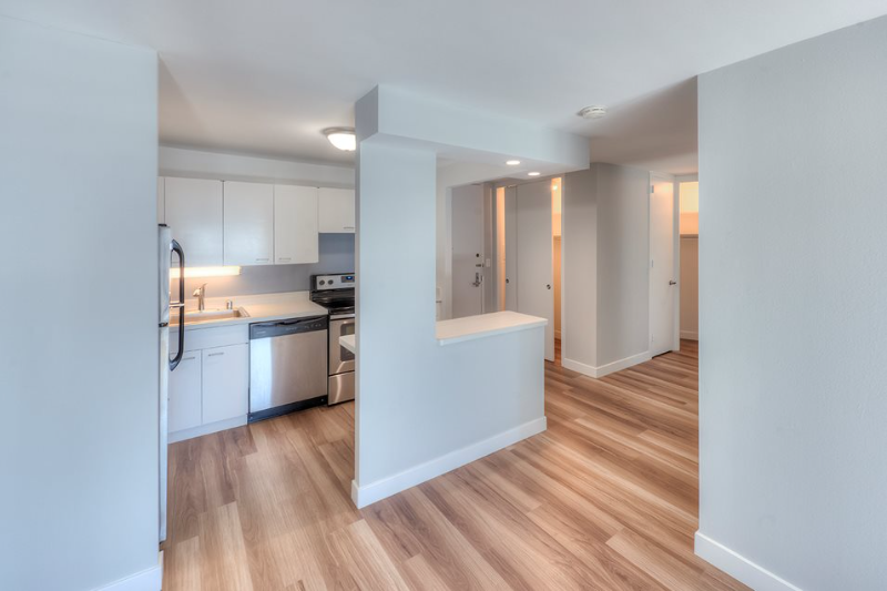 Chicago Condo: 1118 S Michigan