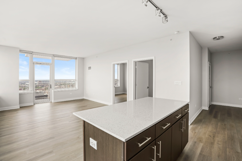 Chicago Condo: 781 W Adams St