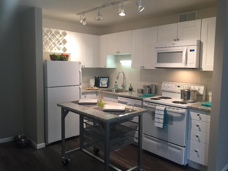 Chicago Condo: 855 N DeWitt