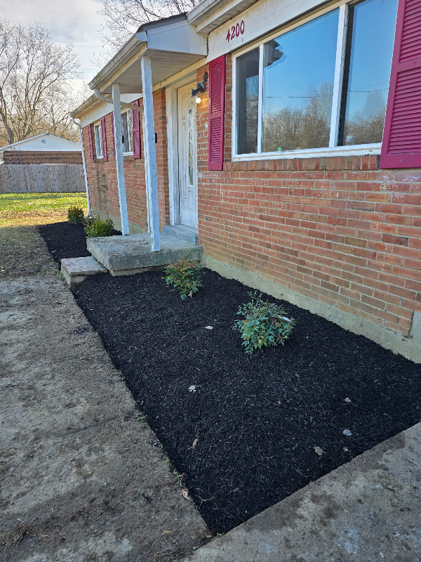 Louisville Other: 4200 Narcissus Dr