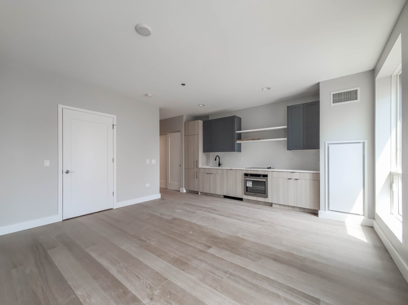 Chicago Condo: 1207 N Clark