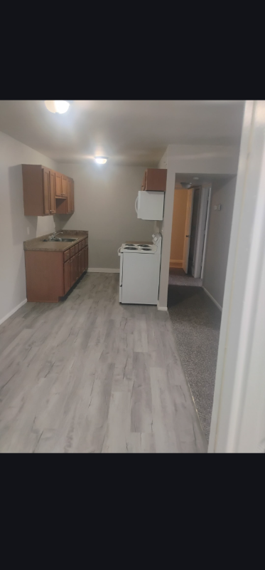 Lincoln Park Apartment: 2237 moore road