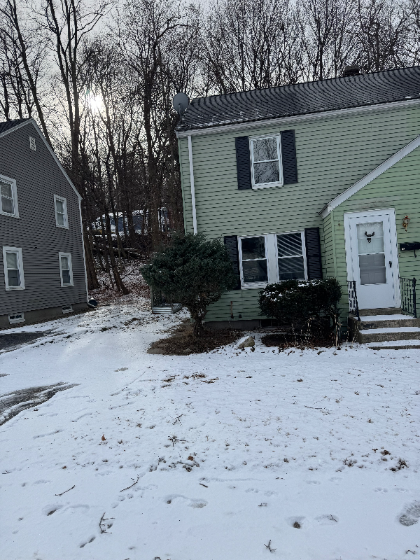 Worcester Townhome: 62 Reed St