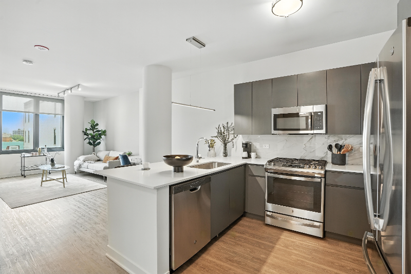 Chicago Condo: 751 N Aberdeen St