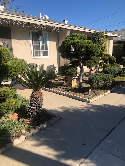 Rosemead Multiplex: 2100 1/2 San Gabriel Blvd.