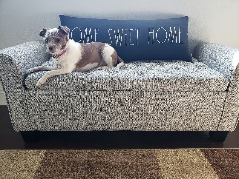 Las Vegas Townhome: 7712 Himalayas