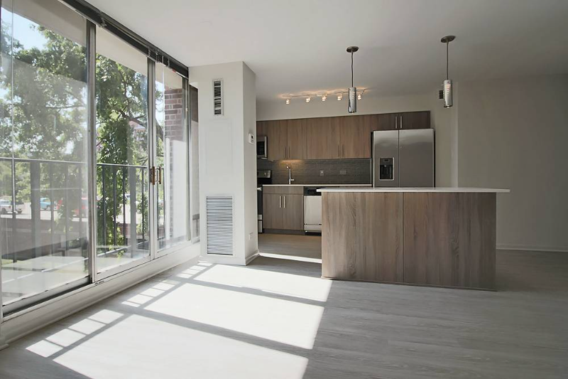 Chicago Condo: 907 S Ashland Ave