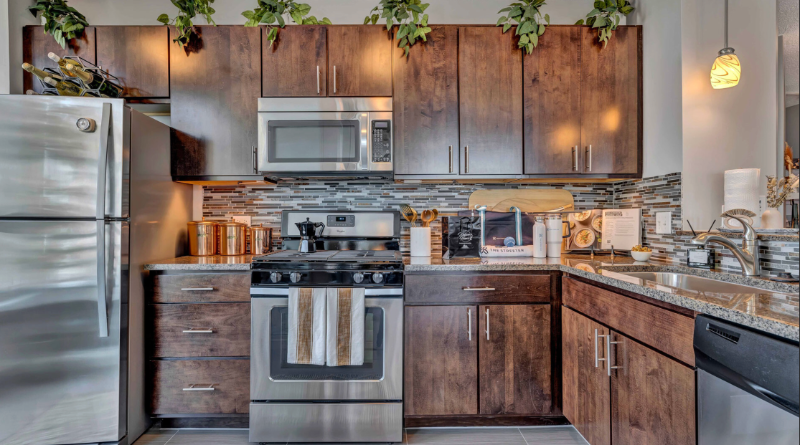 Chicago Condo: 340 East Ohio St