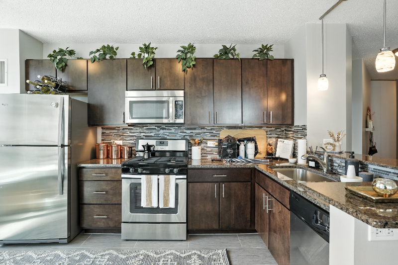 Chicago Condo: 341 East Ohio Street