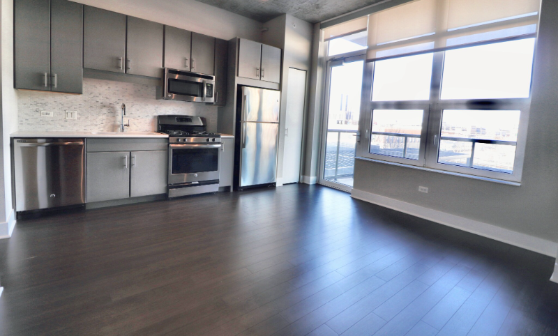 Chicago Condo: 880 S Clark Street