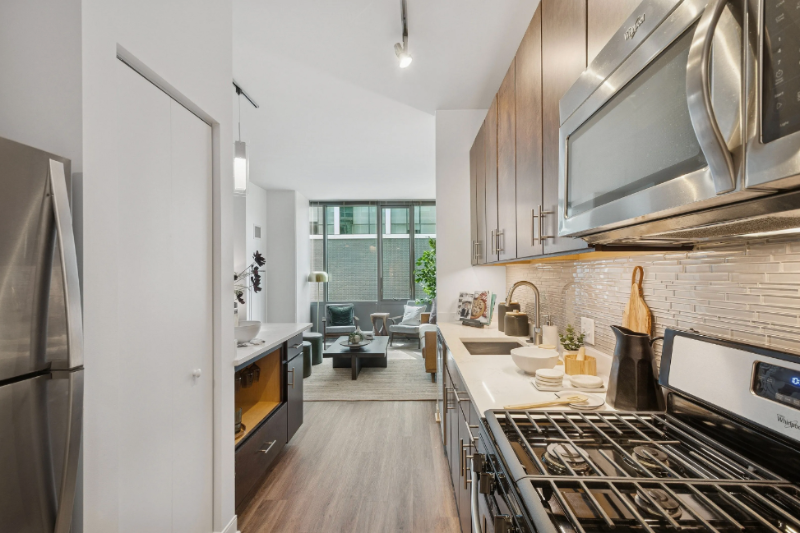 Oak Park Condo: 938 Lake St