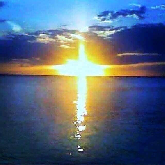 Cape Coral Multiplex: 1115 Country Club Blvd