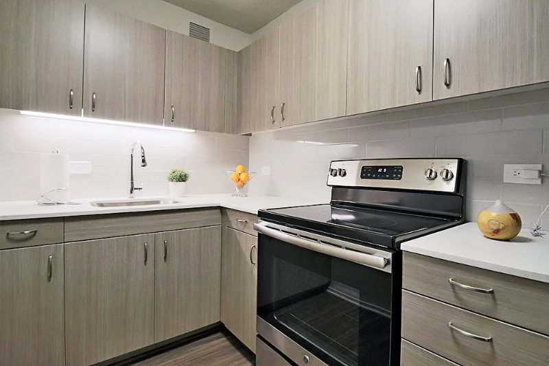 Chicago Condo: 1232 N Dearborn St