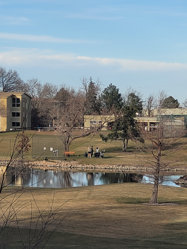 Denver Condo: 710 S Alton Way