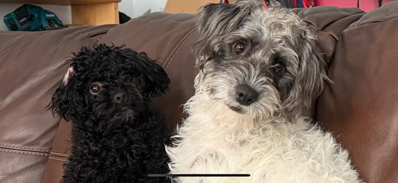 Waukesha Townhome: 814 Beechwood