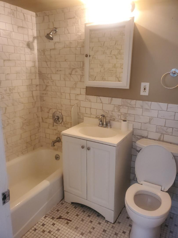 Oak Park Condo: 1107 Washington Blvd