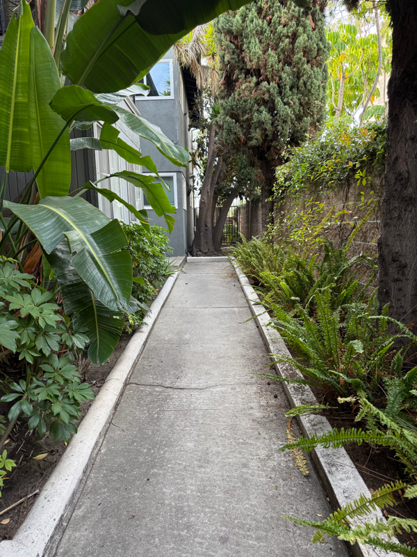 Inglewood Apartment: 811 Austin Ave