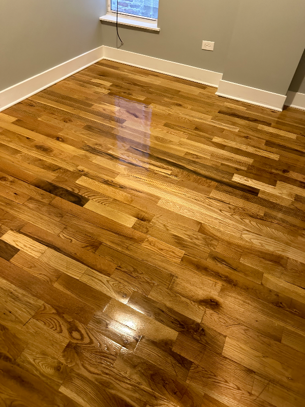 Chicago Apartment: 9035 S Greenwood Ave