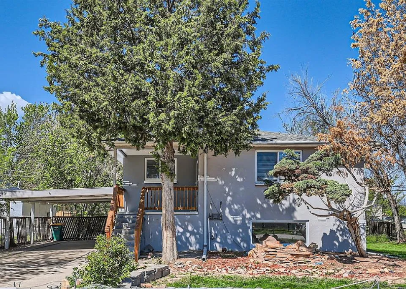 Lakewood Multiplex: 1265 ammons st