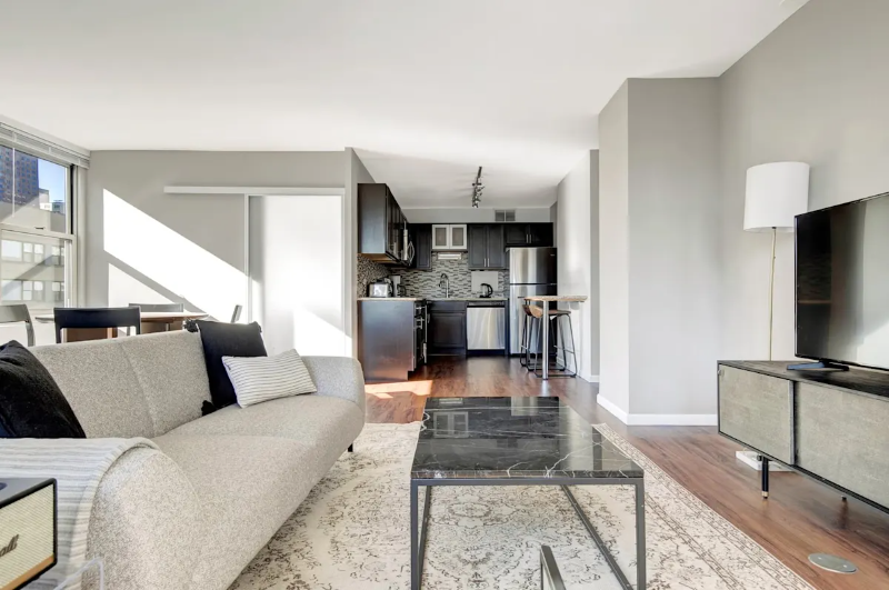 Chicago Apartment: 850 N Dewitt