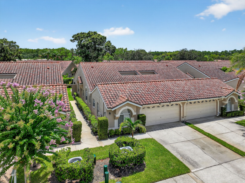 Palm Harbor Townhome: 3874 Darston Street