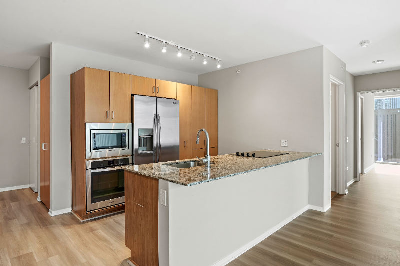 Chicago Condo: 158 East Illinois St